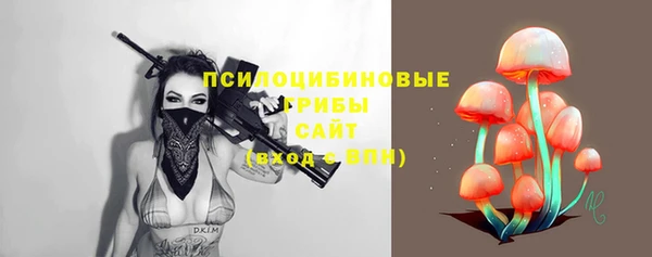 МДПВ Волосово