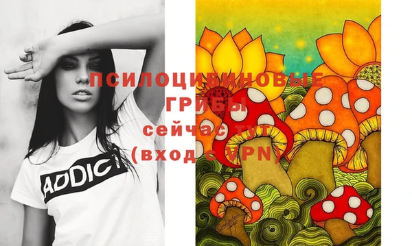 дживик Волоколамск