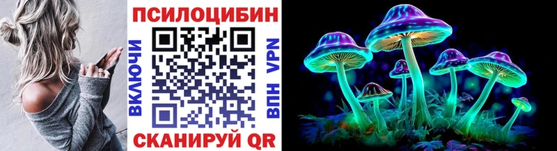 Псилоцибиновые грибы Psilocybine cubensis  omg рабочий сайт  Красногорск  закладка 